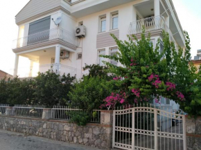 Ergün Apt 37-2